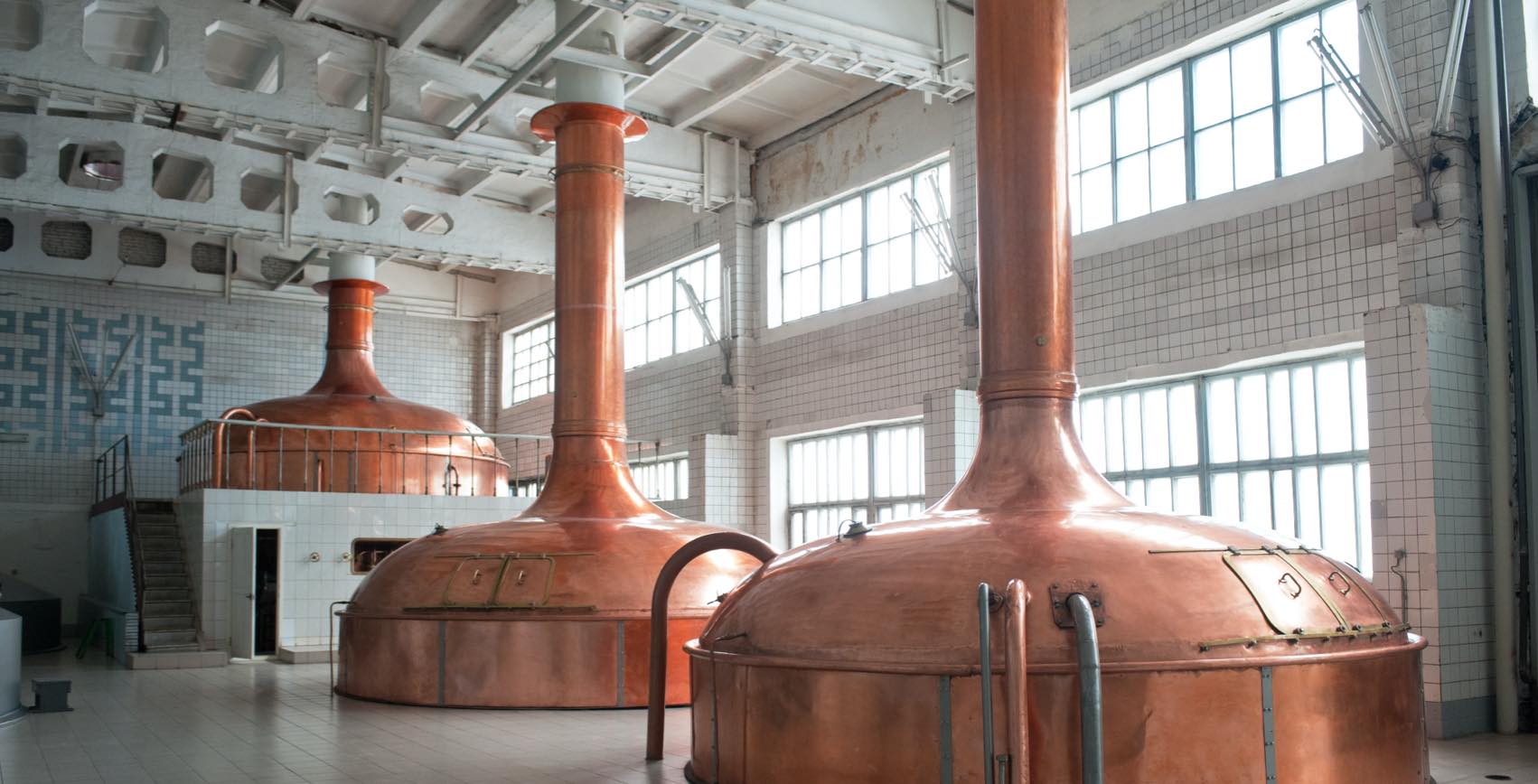 Brewing Filtration Amazon Filters